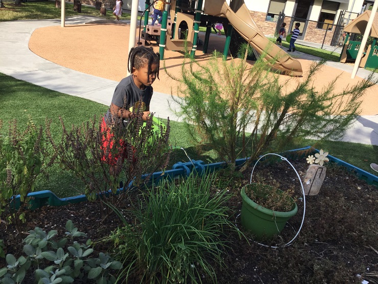 child in garden