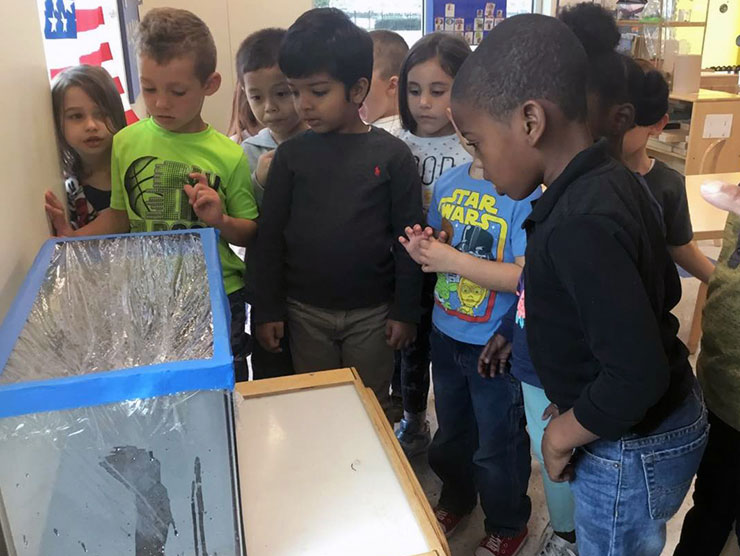 children doing science experiment